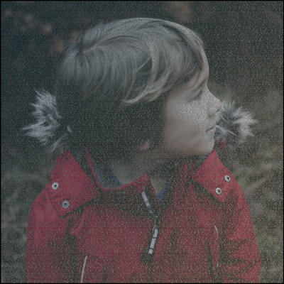 Photo turned to Words