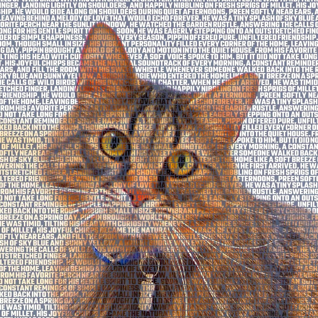 cat-memorial-canvas-photo-words Cat memorial canvas with photo and name