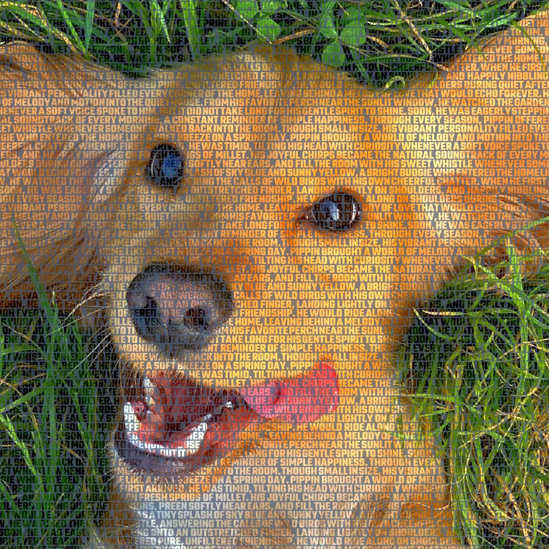 Dog memorial canvas with photo and name