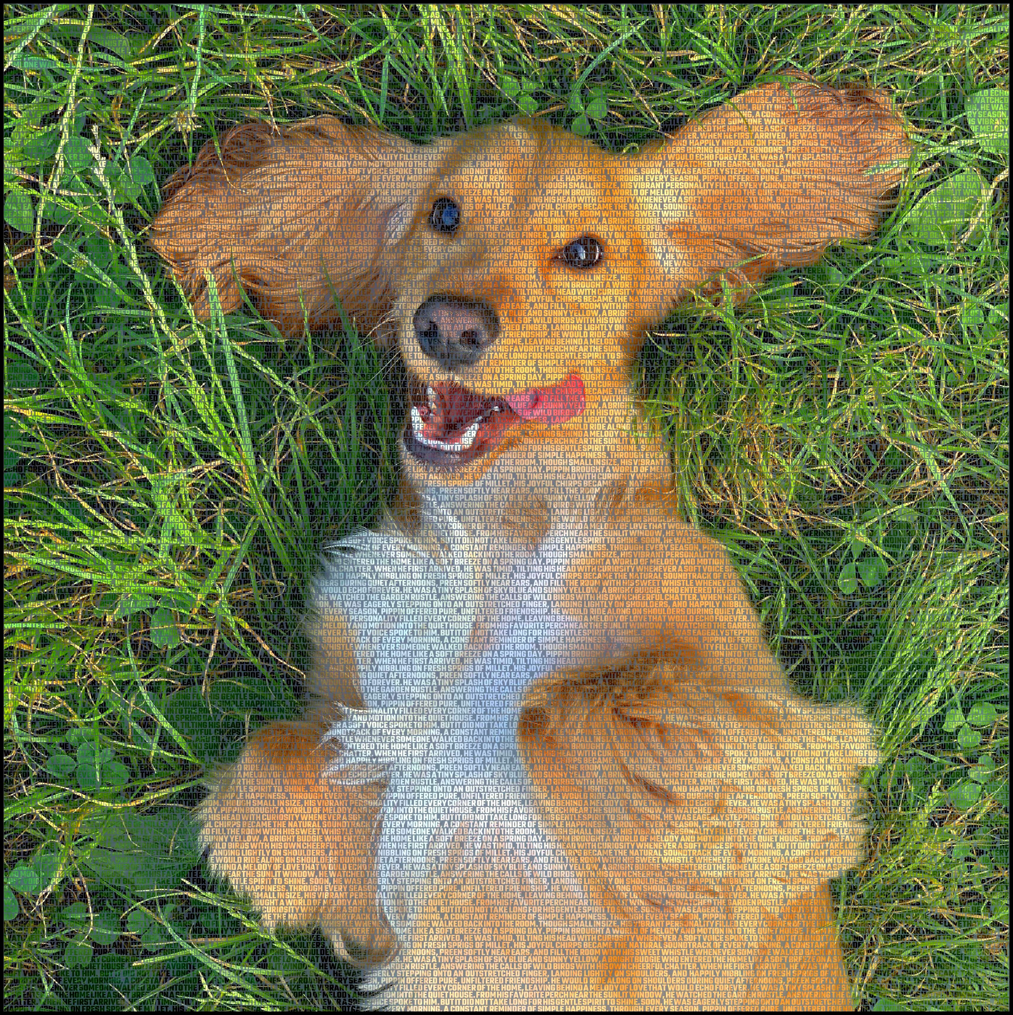 dog-memorial-canvas-wall-quote Personalized dog memorial canvas hanging with photo and quote
